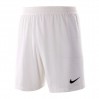 Шорты Nike Vapor Knit II Short AQ2685-100