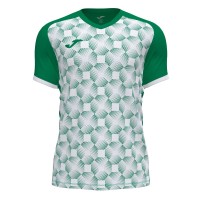 Футболка игровая Joma Supernova III 102263.452 цвет: зеленый-белый
