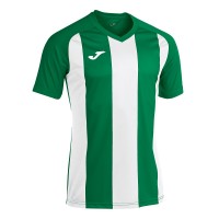 Ігрова футболка Joma Pisa II 102243.452 колір: зелений-білий