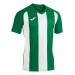 Ігрова футболка Joma Pisa II 102243.452 колір: зелений-білий