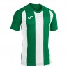 Ігрова футболка Joma Pisa II 102243.452 колір: зелений-білий