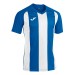 Футболка игровая Joma Pisa II 102243.702 цвет: синий-белый