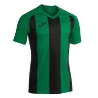 Футболка игровая Joma Pisa II 102243.451 цвет: зеленый-черный