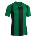 Ігрова футболка Joma Pisa II 102243.451 колір: зелений-чорний