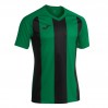 Ігрова футболка Joma Pisa II 102243.451 колір: зелений-чорний