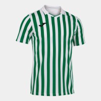Ігрова футболка Joma Copa II 101873.204 колір: білий-зелений