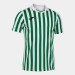 Ігрова футболка Joma Copa II 101873.204 колір: білий-зелений