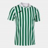 Ігрова футболка Joma Copa II 101873.204 колір: білий-зелений