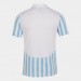 Футболка игровая Joma Copa II 101873.212 цвет: белый-голубой