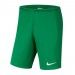 Ігрові футбольні шорти Nike Dry Park III BV6855-302 колір: зелений