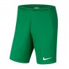 Ігрові футбольні шорти Nike Dry Park III BV6855-302 колір: зелений
