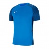 Ігрова футболка Nike Dri-FIT Strike II t-shirt CW3544-463