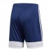 Ігрові футбольні шорти Adidas Tastigo 19 245