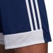 Ігрові футбольні шорти Adidas Tastigo 19 245