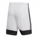 Ігрові футбольні шорти Adidas Tastigo 19 247