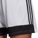 Ігрові футбольні шорти Adidas Tastigo 19 247