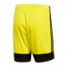Ігрові футбольні шорти Adidas Tastigo 19 249