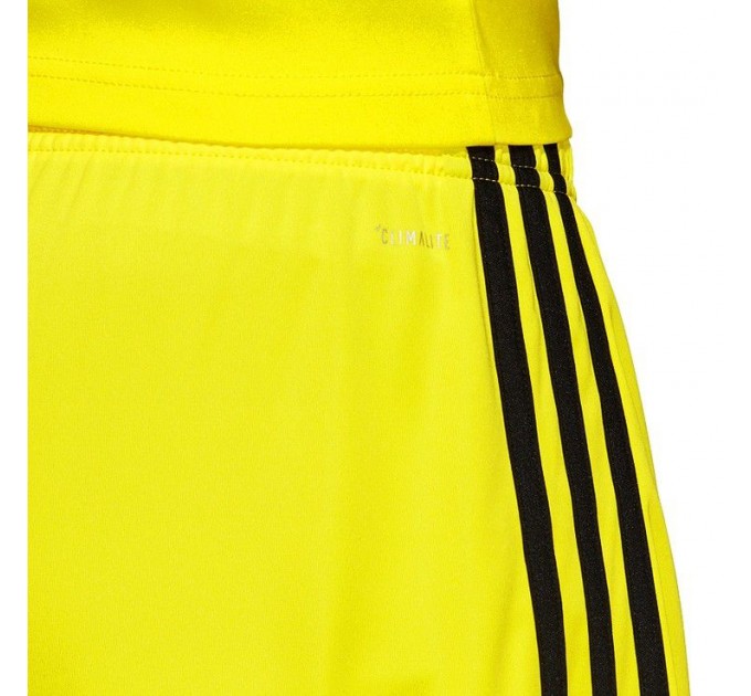 Ігрові футбольні шорти Adidas Tastigo 19 249