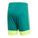Ігрові футбольні шорти Adidas Tastigo 19 251