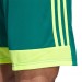 Ігрові футбольні шорти Adidas Tastigo 19 251