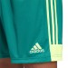Ігрові футбольні шорти Adidas Tastigo 19 251