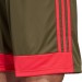 Ігрові футбольні шорти Adidas Tastigo 19 254