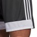 Ігрові футбольні шорти Adidas Tastigo 19 255