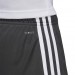 Ігрові футбольні шорти Adidas Tastigo 19 255