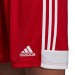Ігрові футбольні шорти Adidas Tastigo 19 681