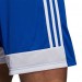 Ігрові футбольні шорти Adidas Tastigo 19 682