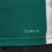Ігрова футболка Adidas Entrada 18 колір: зелений