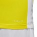 Ігрова футболка Adidas Entrada 18 колір: жовтий
