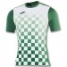 Футболка Joma Flag зелено-белая
