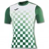 Футболка Joma Flag зелено-белая