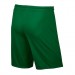 Ігрові футбольні шорти Nike Short Park II Knit колір: зелений
