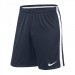 Игровые шорты Nike Squad 17