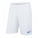 Игровые шорты Nike Laser Woven III