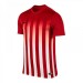 Ігрова футболка Nike Striped Division Jersey II