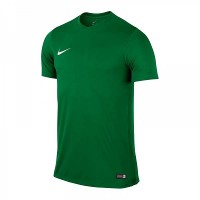 Ігрова футболка Nike SS Park VI Jersey колір: зелений