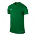 Ігрова футболка Nike SS Park VI Jersey колір: зелений