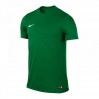 Ігрова футболка Nike SS Park VI Jersey колір: зелений