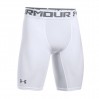 Under Armour HG 2.0 Compression Long 9 Short 100