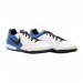 Сороконожки Nike LEGEND 8 PRO TF