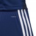 Игровые шорты Adidas Tastigo 19 245