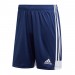 Ігрові футбольні шорти Adidas Tastigo 19 245