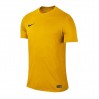 Ігрова футболка Nike SS Park VI Jersey колір: жовтий