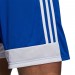 Ігрові футбольні шорти Adidas Tastigo 19 682