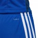 Ігрові футбольні шорти Adidas Tastigo 19 682