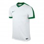 Nike Striker IV T-shirt 102