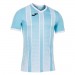 Футболка Joma Tiger II 101464.352 цвет: голубой/белый